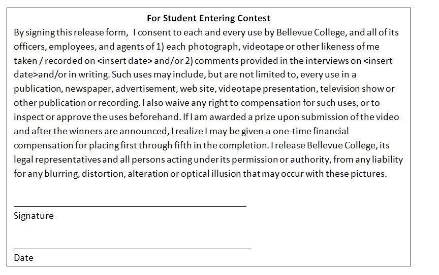 mandatory release forms for student and it professional release form for video
